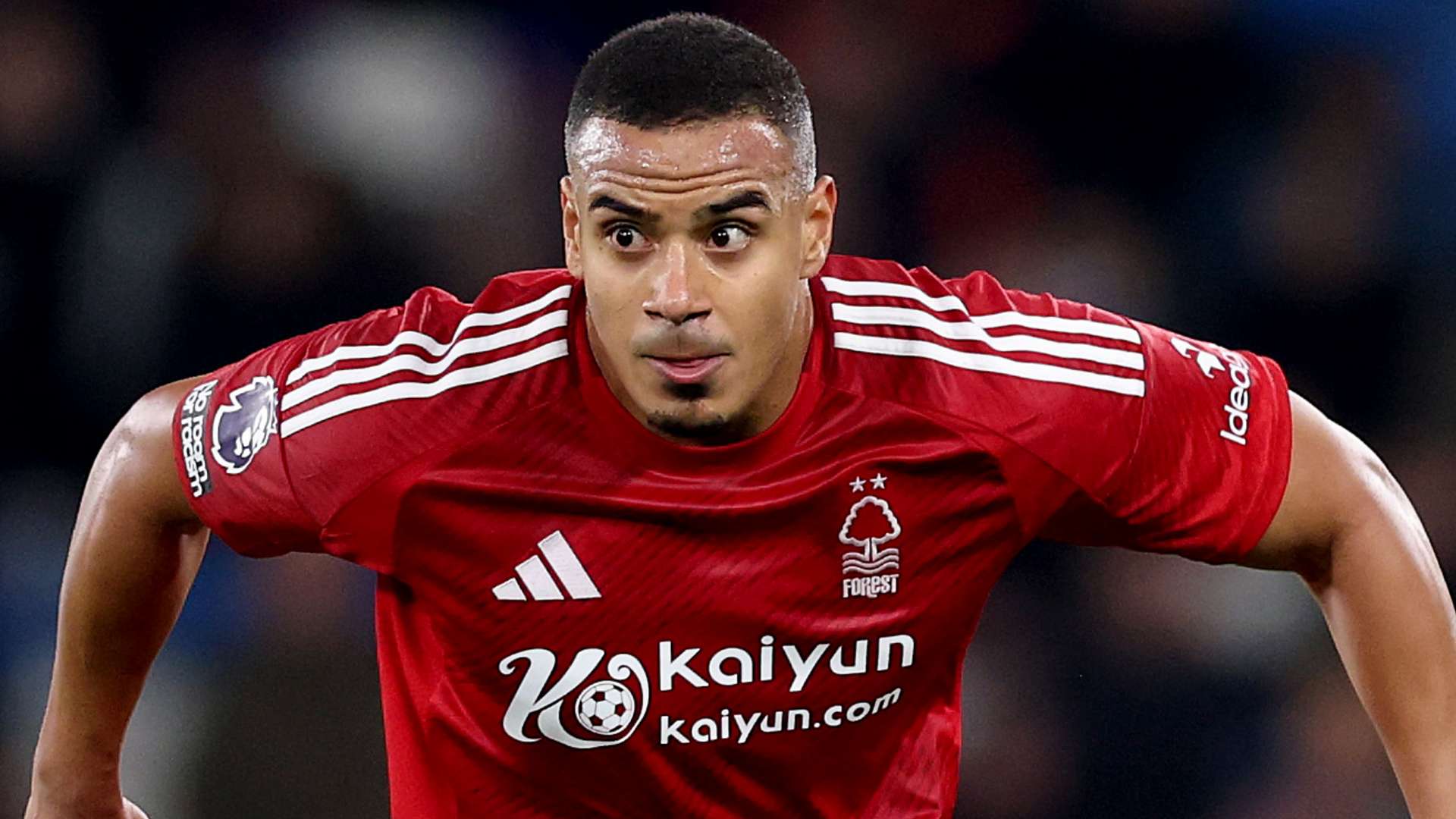 咨询和辅导 咨询和辅导