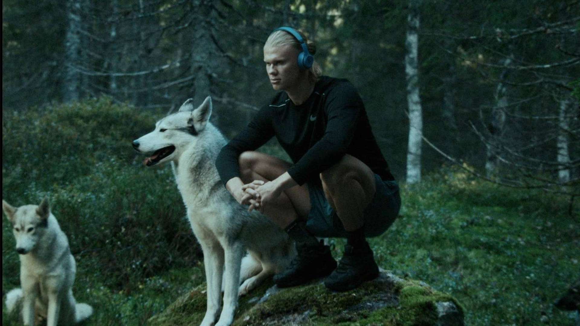 成为了球队 成为了球队